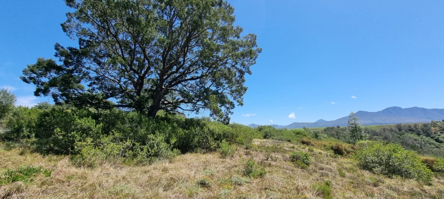  Bedroom Property for Sale in Knysna Rural Western Cape